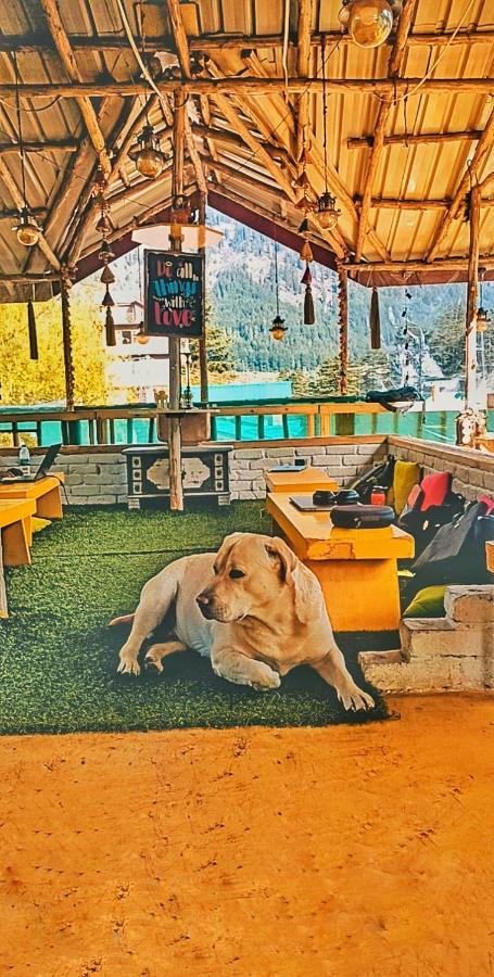 The Culture Nation Hostel Manali Ngoại thất bức ảnh